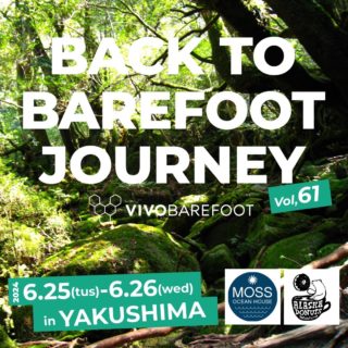 BACK TO BAREFOOT JOURNEY in Yakushima